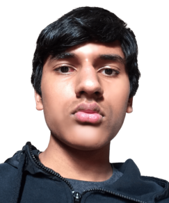 picture of spellers number 104, Paarth Tara